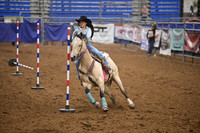 CASTEEL, SCOUT DSC_2442.JPG