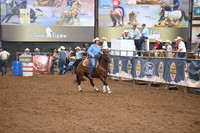 SIPPEL, TARYNDSC_6912.JPG