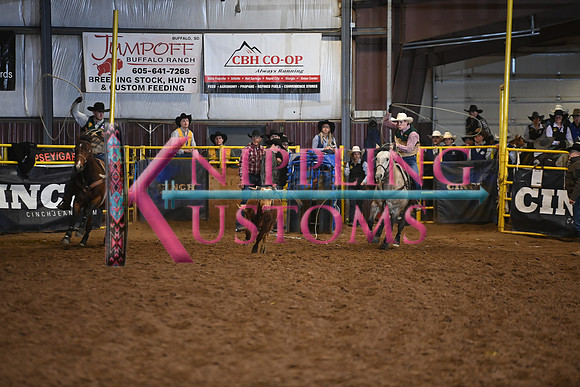 CARLSON-MICKELSONDSC_5139.JPG