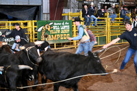 WILD STEER RIDINGDSC_6010.JPG
