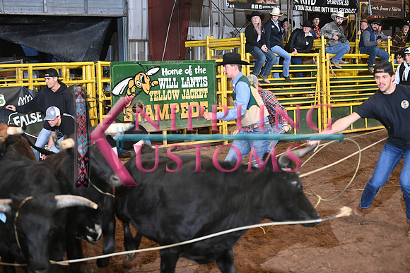 WILD STEER RIDINGDSC_6010.JPG
