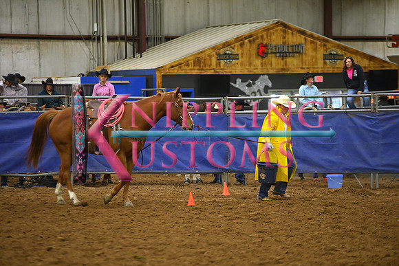 CHRISTENSEN, CYDSC_2460.JPG