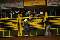 Bull Riding