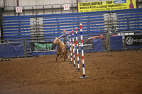 CHENEY, RIGGENSDSC_7917.JPG