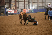 EDGAR, CASHDSC_2261.JPG