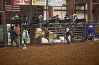 EDGAR, CASHDSC_8388.JPG