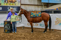AWARDSDSC_5308.JPG