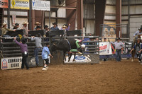 BRADFORD, COOPERDSC_1959.JPG