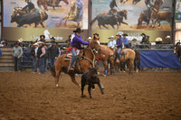 BOOMSMA, DRAKEDSC_8562.JPG