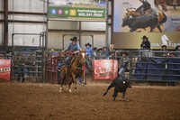 BOOMSMA-CARMICHAELDSC_2398.JPG