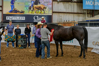 AWARDSDSC_5287.JPG