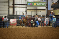 BOOMSMA, DRAKE DSC_6778.JPG