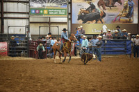 BOOMSMA, DRAKE DSC_6779.JPG