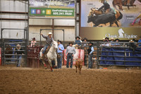 BOWDEN-WALNDSC_5904.JPG