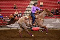 ADDISON, KARIDSC_5341.JPG