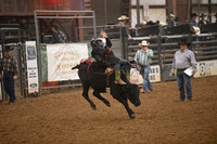 EDGAR, CASHDSC_1826.JPG