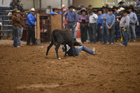 SAIENGA, JACKDSC_2694.JPG