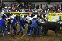 WILD STEER RIDINGDSC_4079.JPG