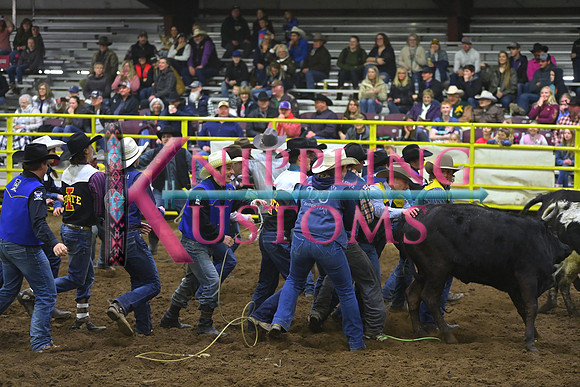 WILD STEER RIDINGDSC_4079.JPG
