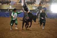 EDGAR, CASHDSC_4597.JPG