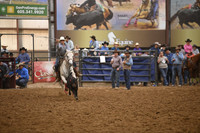 BOWDEN-WALNDSC_3254.JPG