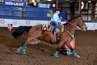 HARVEY, HAISLONDSC_6588.JPG