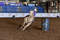 WILLIAMS, BLUEDSC_0549.JPG
