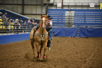 CASTEEL, SCOUTDSC_8091.JPG
