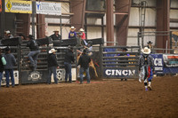 Saddle Bronc Riding
