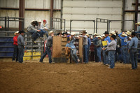 BOOMSMA, DRAKE DSC_7065.JPG
