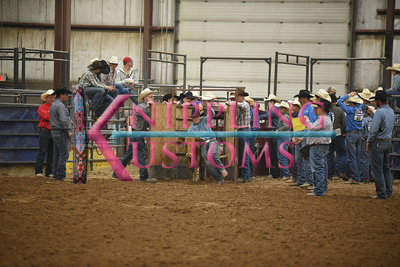 BOOMSMA, DRAKE DSC_7065.JPG