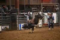 DORRANCE, COLTONDSC_1963.JPG