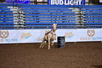 WILLIAMS, BLUEDSC_0552.JPG