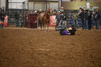 BOOMSMA-CARMICHAELDSC_0093.JPG