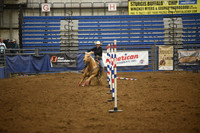 CHENEY, RIGGENSDSC_3673.JPG