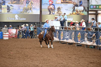 SIPPEL, TARYNDSC_6911.JPG