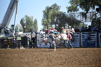 CARLSON, SYLARDSC_4231.JPG