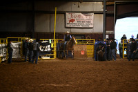 Calf Roping