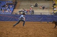 BOOMSMA, DRAKEDSC_2188.JPG