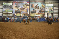 BOOMSMA, DRAKE DSC_6782.JPG