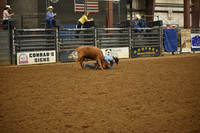 BOOMSMA, DRAKE DSC_7072.JPG