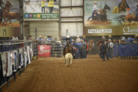 JONES, STETSONDSC_4391.JPG