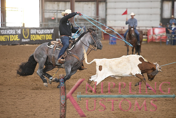 BRAZILE, TREVORDSC_1365.JPG