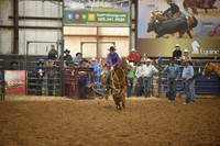 BOOMSMA, DRAKEDSC_5117.JPG