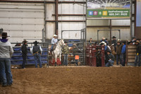 BOWDEN, KOBYDSC_8654.JPG
