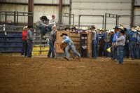 BOOMSMA, DRAKE DSC_7066.JPG