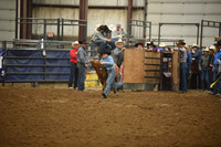 BOOMSMA, DRAKE DSC_7067.JPG