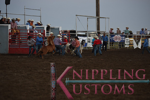Wild Pony RaceDSC_6076