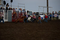 Wild Pony RaceDSC_6075