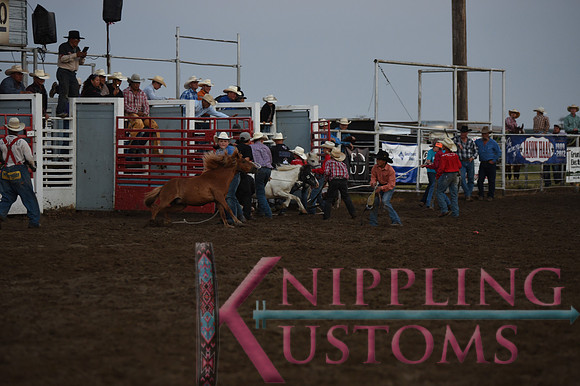 Wild Pony RaceDSC_6075